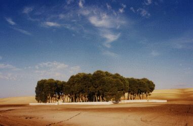 Alter franz&ouml;sischer Friedhof in Algerien